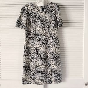Sag Harbor Dress. Animal Print V Neck Short Sleeves. Size 8